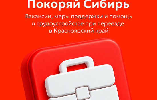 Популярные цифровые сервисы Красноярского края объединили на одной платформе 